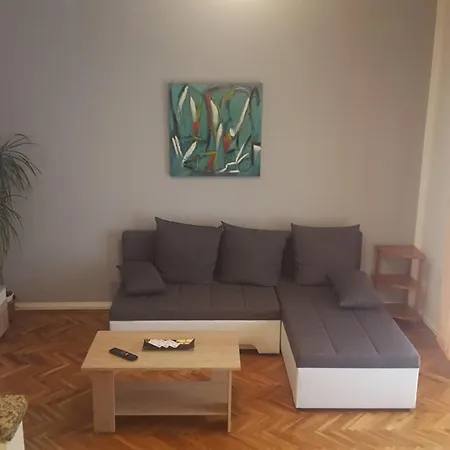 With A Parking Space Viskovici, Rasa - 14691 Apartment